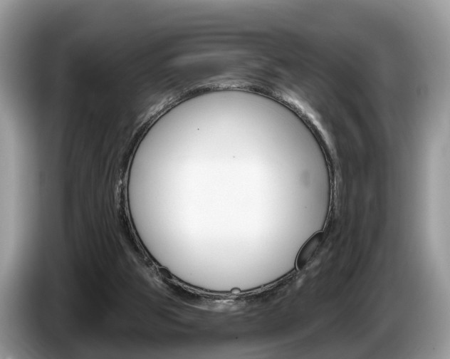 X0000087610153200704271107