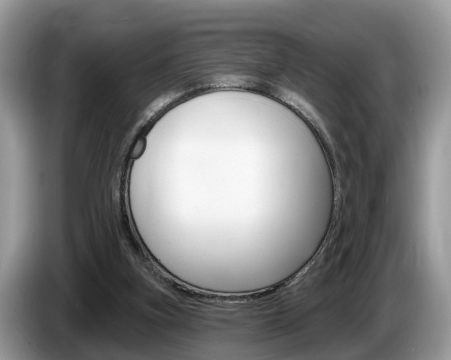 X0000087610155200704271107
