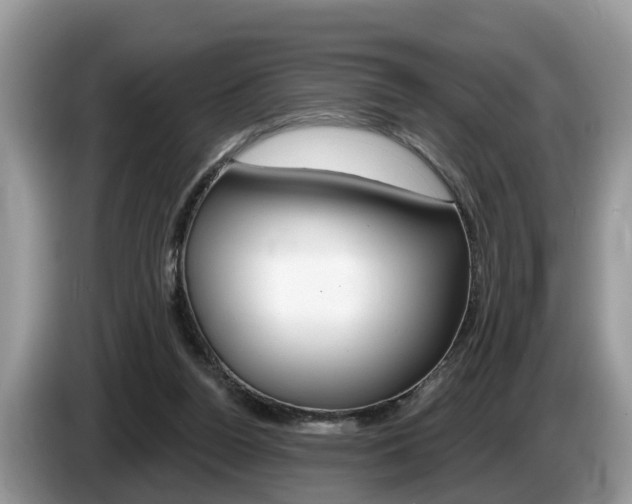 X0000087610160200704271107