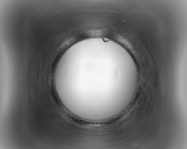 X0000087610161200704271107