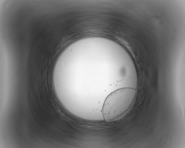 X0000087610162200704271107