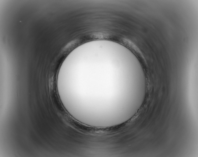X0000087610163200704271107