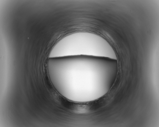 X0000087610169200704271107