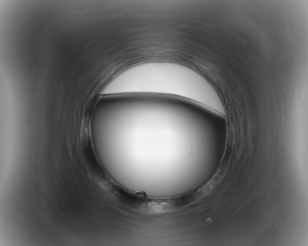 X0000087610172200704271107
