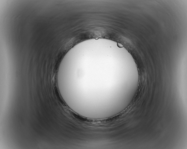 X0000087610177200704271107