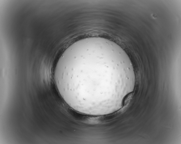 X0000087610178200704271107