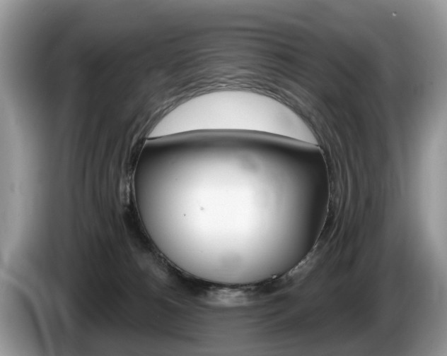 X0000087610180200704271107