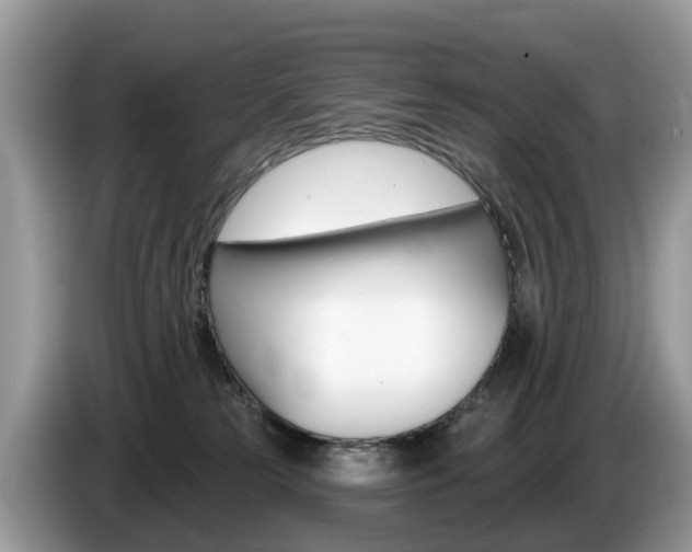 X0000087610181200704271107