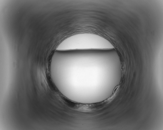 X0000087610182200704271107