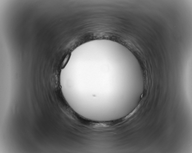 X0000087610183200704271107
