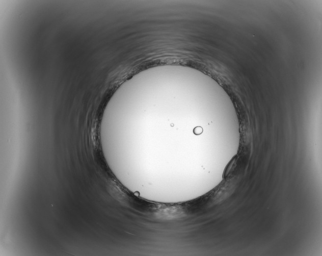 X0000087610185200704271107