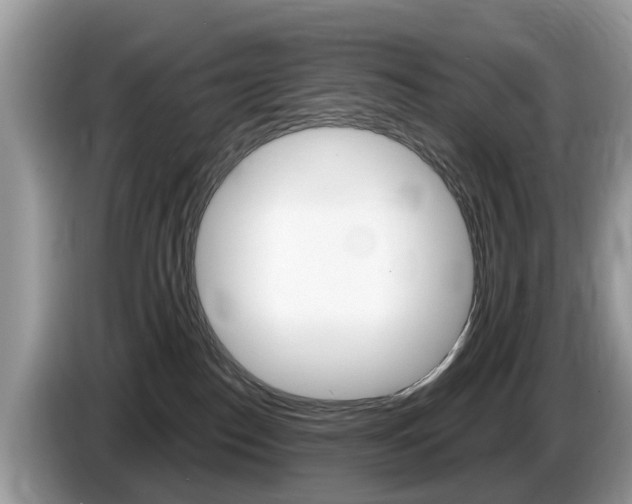 X0000087610186200704271107