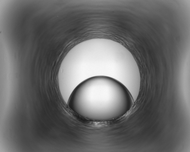 X0000087610188200704271107