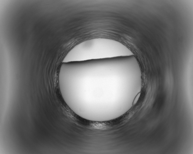 X0000087610189200704271107