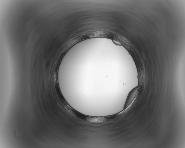 X0000087610191200704271107