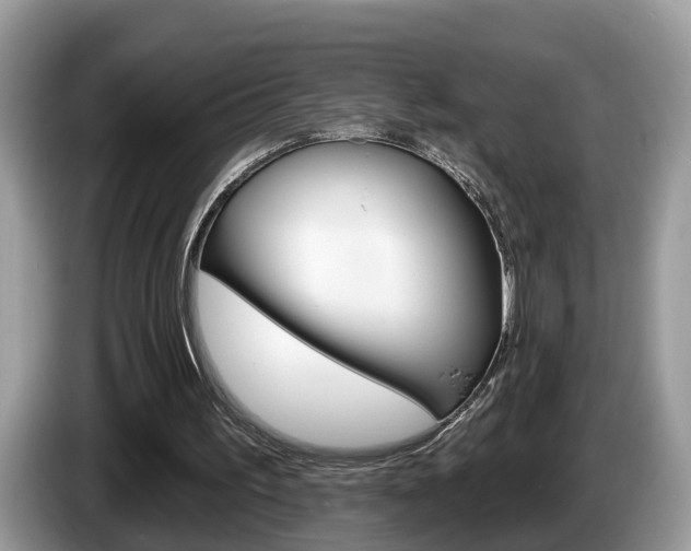 X0000087610195200704271107