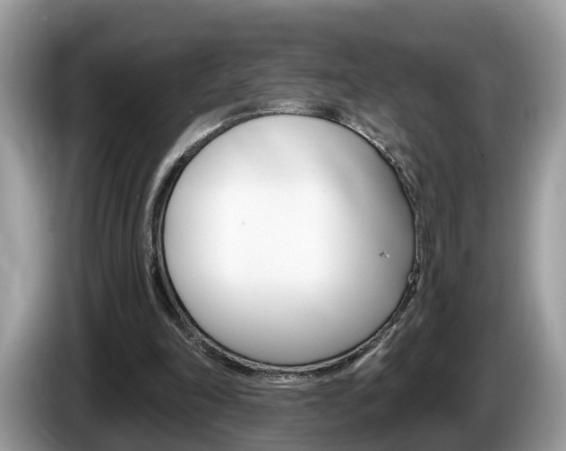 X0000087610198200704271107