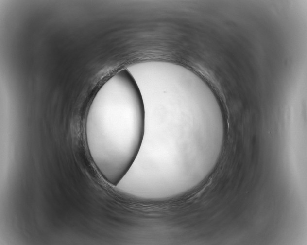 X0000087610202200704271107