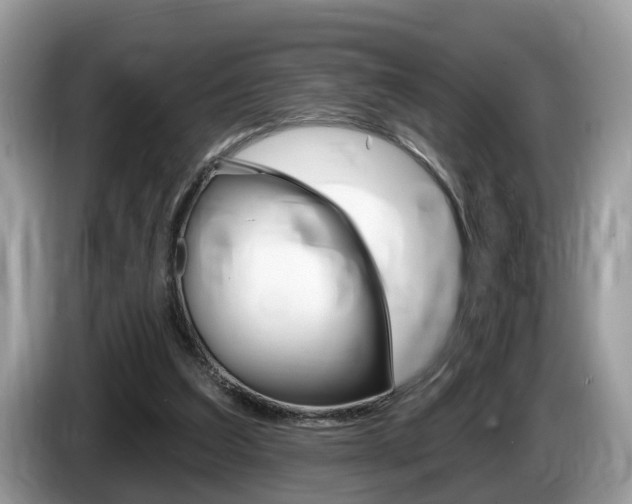 X0000087610203200704271107