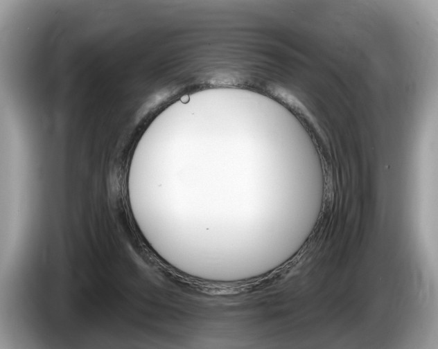X0000087610208200704271107