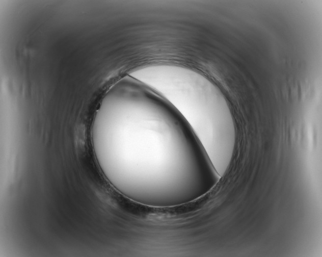 X0000087610211200704271106