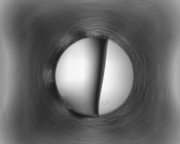 X0000087610224200704271106