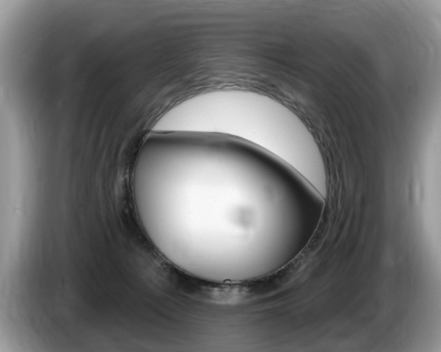 X0000087610225200704271106