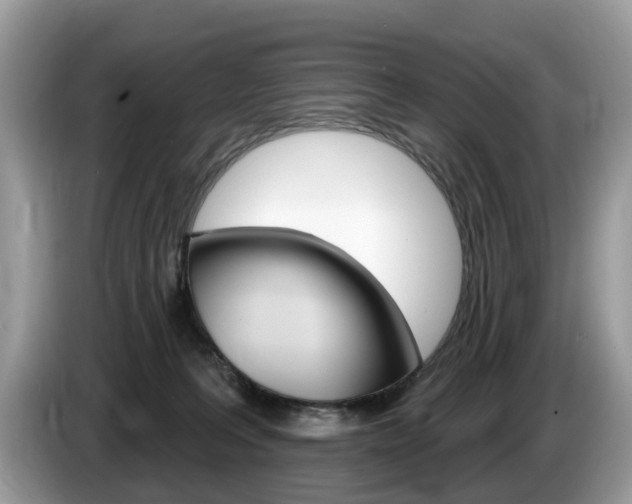 X0000087610227200704271106