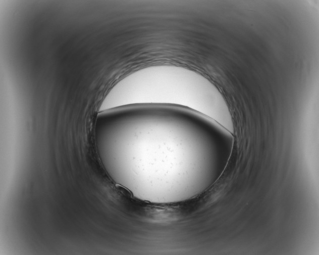 X0000087610229200704271106