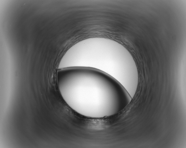 X0000087610233200704271106