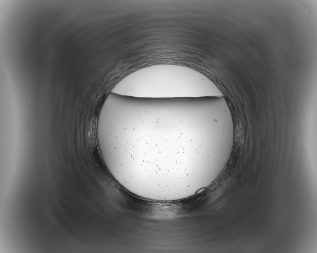 X0000087610234200704271106