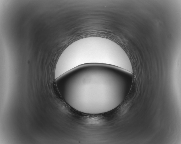 X0000087610235200704271106