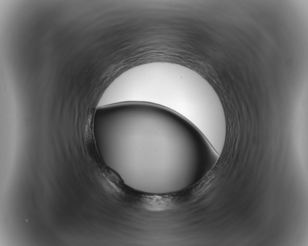 X0000087610239200704271106