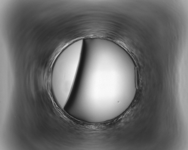 X0000087610241200704271106