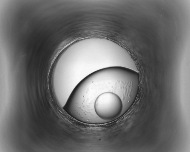 X0000087610242200704271106