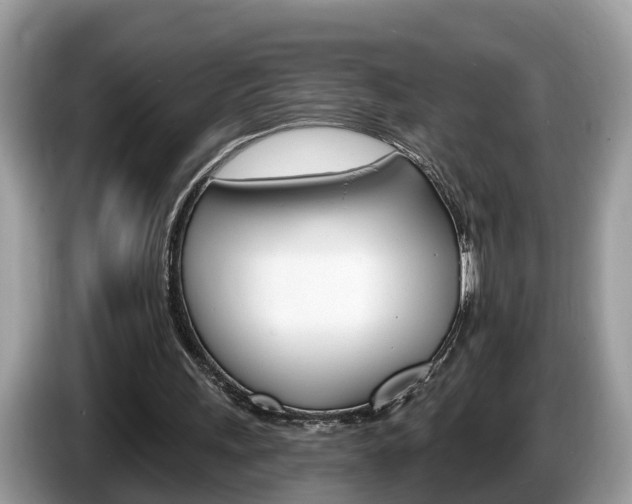 X0000087610243200704271106