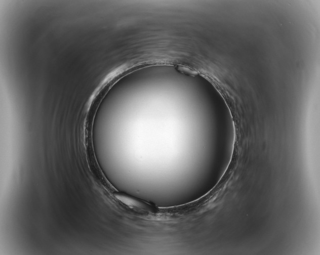 X0000087610244200704271106