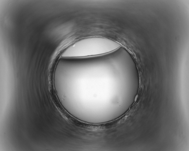 X0000087610245200704271106