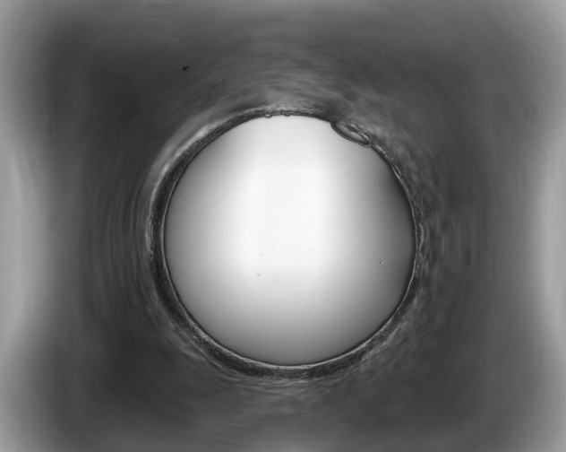 X0000087610247200704271106
