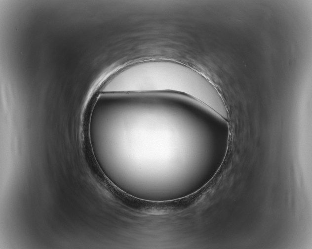 X0000087610248200704271106