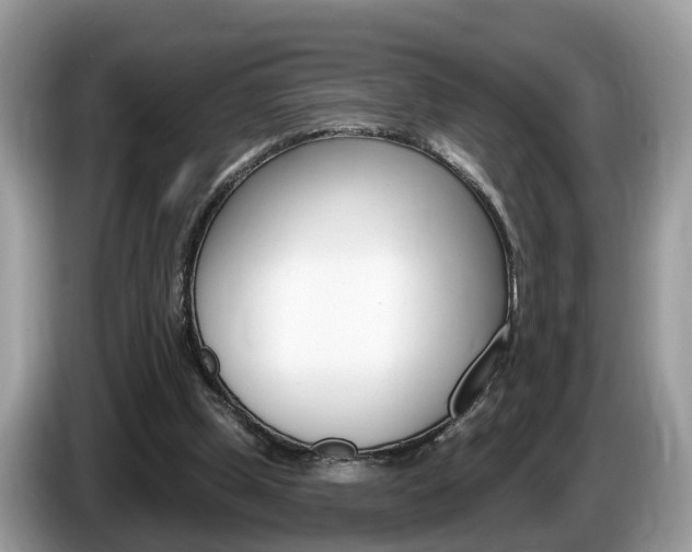 X0000087610249200704271106