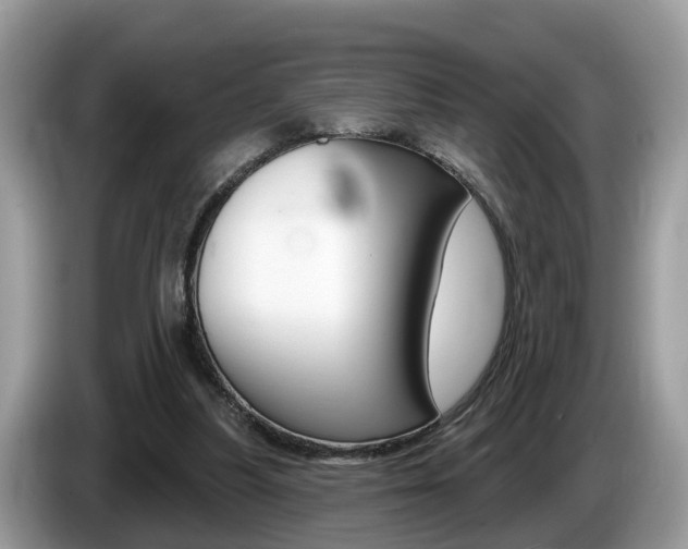 X0000087610251200704271106
