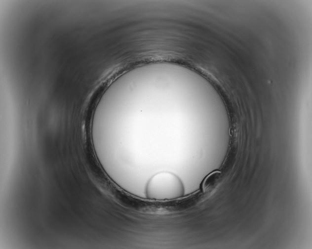 X0000087610254200704271106