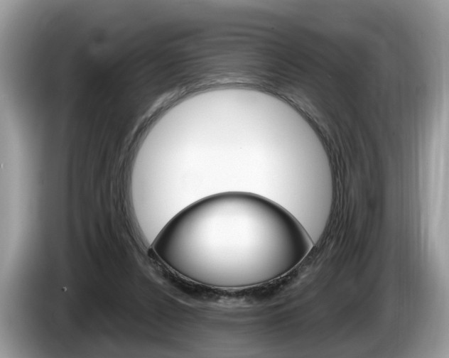 X0000087610256200704271106