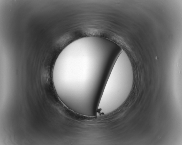 X0000087610259200704271106