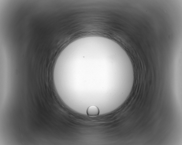 X0000087610268200704271106