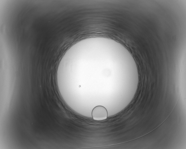 X0000087610272200704271106