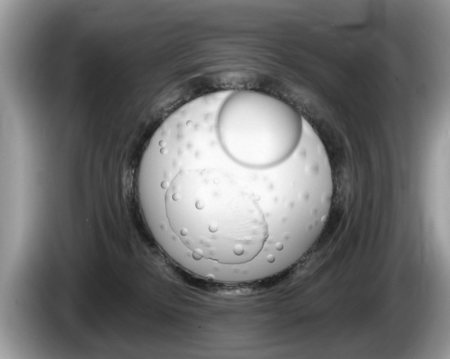 X0000087610278200704271106