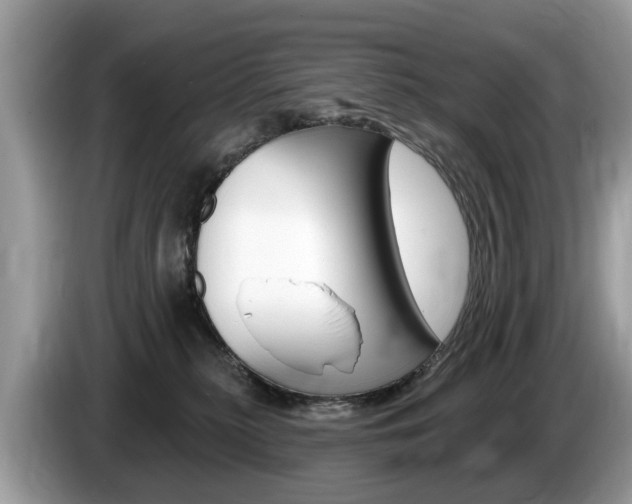 X0000087610279200704271106