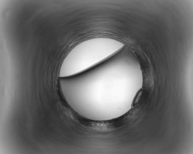 X0000087610282200704271106